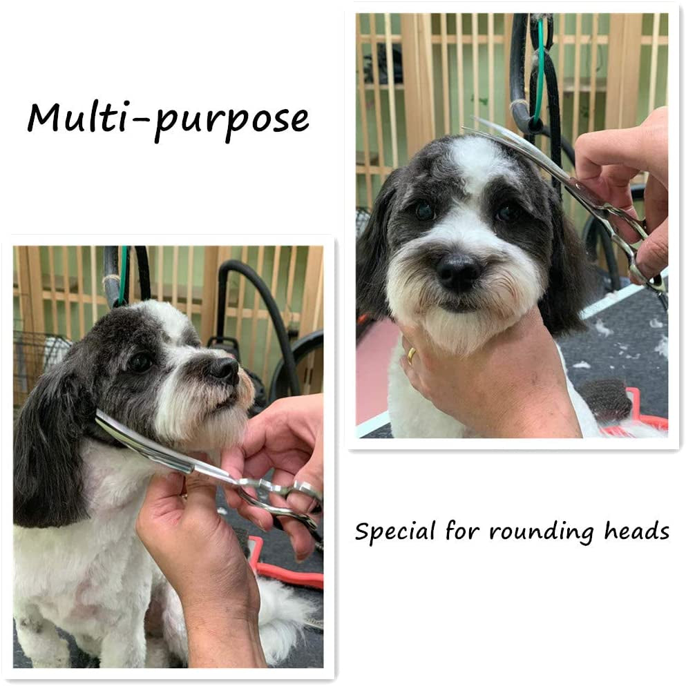 Curved Scissors for Dog Grooming,6.5 Inches,Safety round Tip Design. (Ball-Tip)